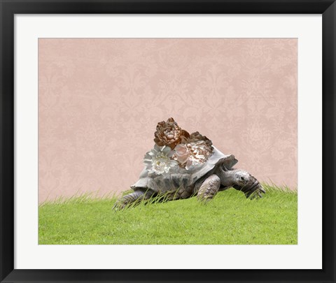 Framed Tortoise on Pink Print