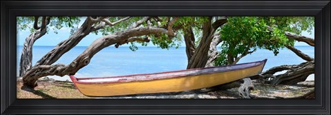 Framed Yellow Bird Boat Print