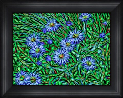 Framed Colorado, San Juan Mountains, Abstract Photo Of Showy Fleabane Flowers Print