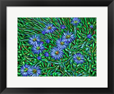 Framed Colorado, San Juan Mountains, Abstract Photo Of Showy Fleabane Flowers Print