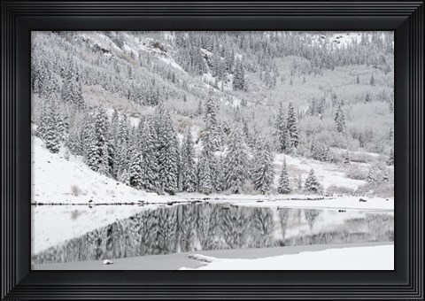 Framed Colorado, Maroon Bells State Park, Autumn Snowfall On Mountain And Maroon Lake Print