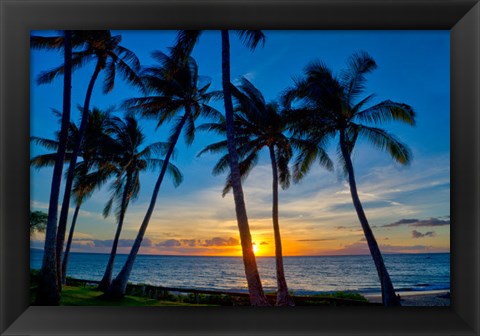 Framed Sunset And Silhouetted Palm Trees, Kihei, Maui, Hawaii Print