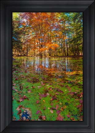 Framed Fall Foliage Reflection In Lake Water Print