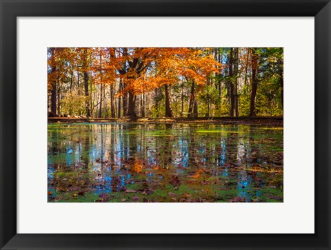 Framed Fall Foliage Reflection In Lake Water Print