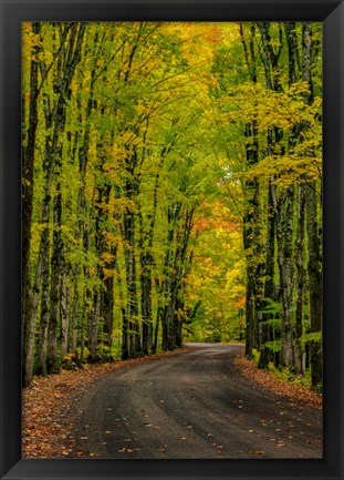 Framed Covered Road Near Houghton, Michigan Print