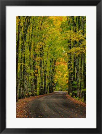 Framed Covered Road Near Houghton, Michigan Print