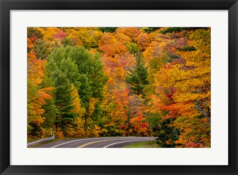 Framed Autumn Color Along Highway 26 Near Houghton, Michigan Print