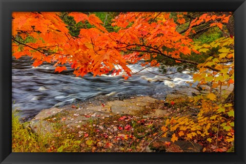 Framed Sturgeon River In Autumn Near Alberta, Michigan Print