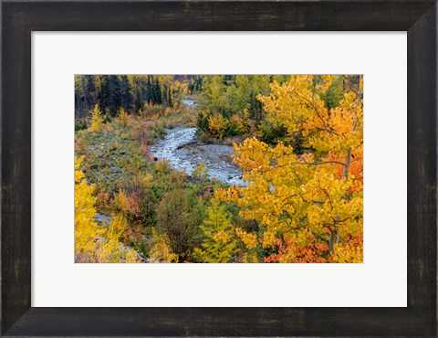 Framed Autumn Color Along Divide Creek In Glacier National Park, Montana Print