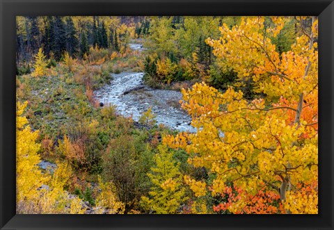 Framed Autumn Color Along Divide Creek In Glacier National Park, Montana Print