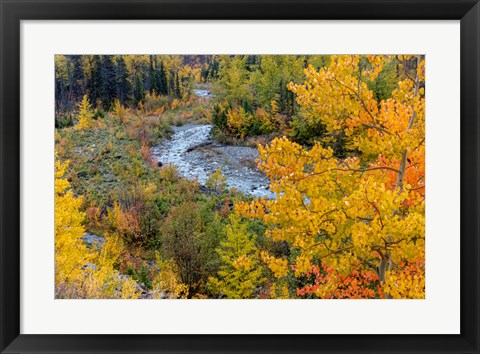 Framed Autumn Color Along Divide Creek In Glacier National Park, Montana Print