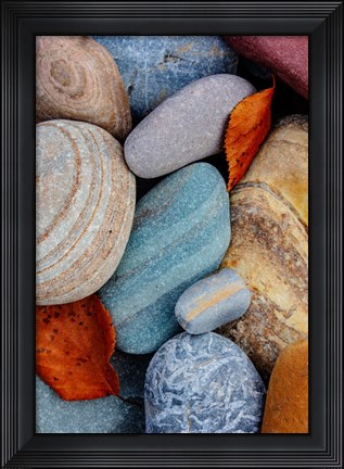 Framed Colorful River Rocks Along The Middle Fork Of The Flathead River, Glacier National Park, Montana Print