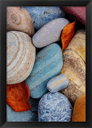 Framed Colorful River Rocks Along The Middle Fork Of The Flathead River, Glacier National Park, Montana Print