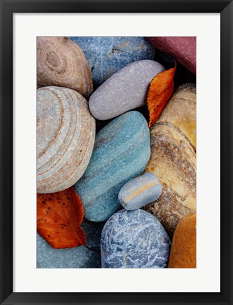 Framed Colorful River Rocks Along The Middle Fork Of The Flathead River, Glacier National Park, Montana Print