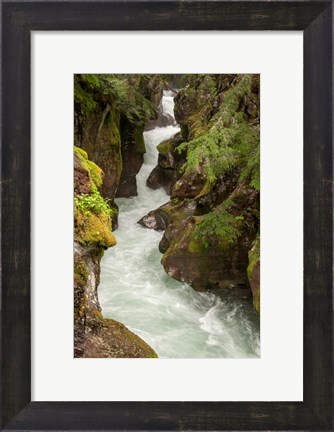 Framed Glacier National Park, Montana Avalanche Creek Print