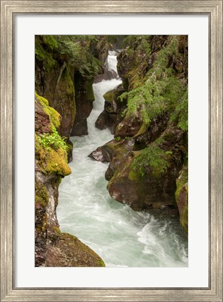 Framed Glacier National Park, Montana Avalanche Creek Print