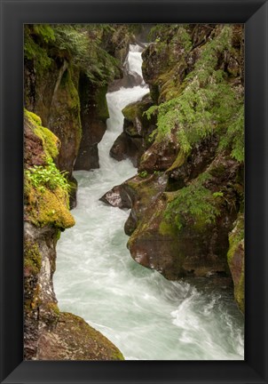 Framed Glacier National Park, Montana Avalanche Creek Print