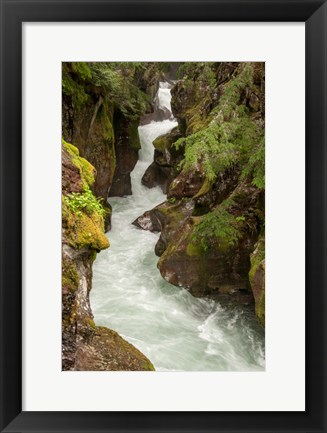 Framed Glacier National Park, Montana Avalanche Creek Print