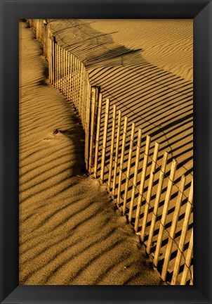 Framed New Jersey, Cape May, Fence Shadow On Shore Sand Print