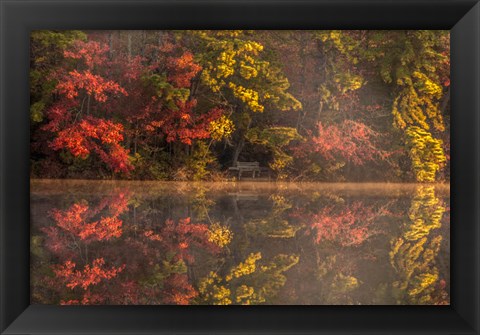 Framed New Jersey, Belleplain State Fores,t Autumn Tree Reflections On Lake Print