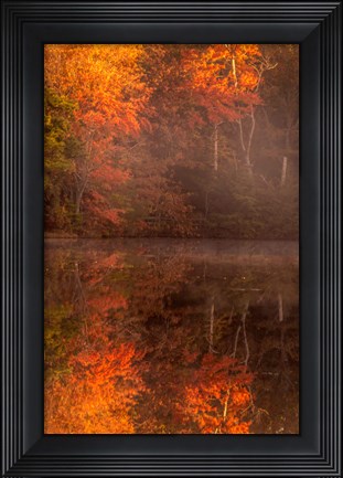 Framed New Jersey, Belleplain State Forest, Autumn Tree Reflections On Lake Print