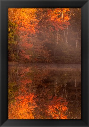 Framed New Jersey, Belleplain State Forest, Autumn Tree Reflections On Lake Print