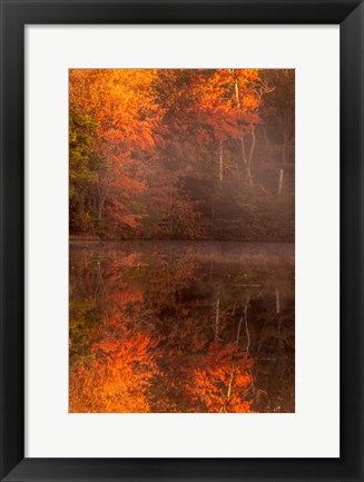 Framed New Jersey, Belleplain State Forest, Autumn Tree Reflections On Lake Print