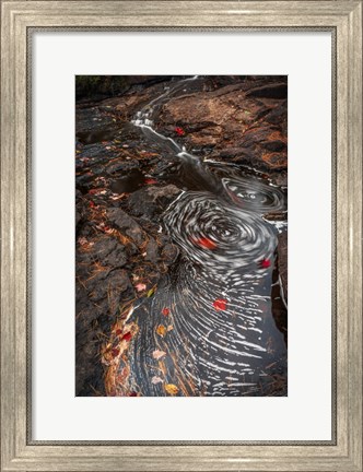 Framed New York, Adirondack State Park Stream Eddies Print