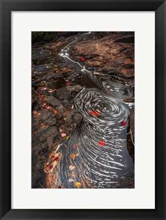 Framed New York, Adirondack State Park Stream Eddies Print