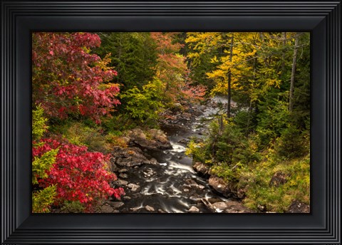 Framed New York, Adirondack State Park Stream And Forest In Autumn Print