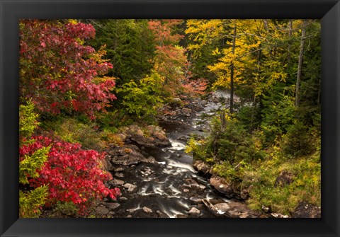 Framed New York, Adirondack State Park Stream And Forest In Autumn Print