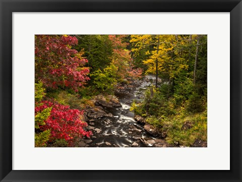 Framed New York, Adirondack State Park Stream And Forest In Autumn Print