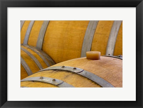 Framed Oregon, Elk Cove Winery Oak Barrels Close-Up Print