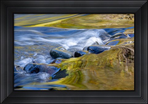 Framed Oregon Abstract Of Autumn Colors Reflected In Wilson River Rapids Print