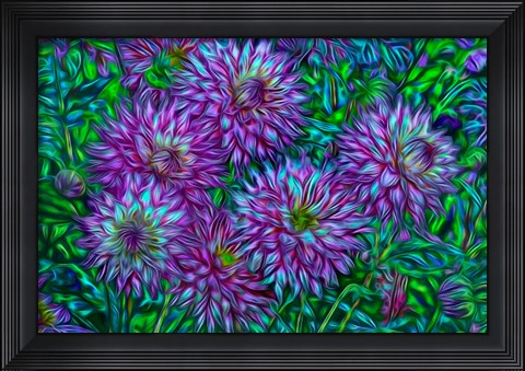 Framed Oregon, Shore Acres State Park, Abstract Of Dahlias In Garden Print