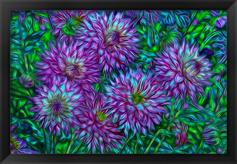 Framed Oregon, Shore Acres State Park, Abstract Of Dahlias In Garden Print