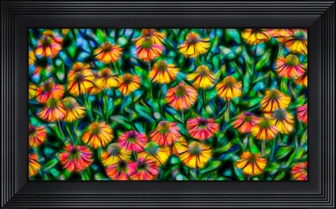 Framed Oregon, Coos Bay Abstract Of Flower Garden Print