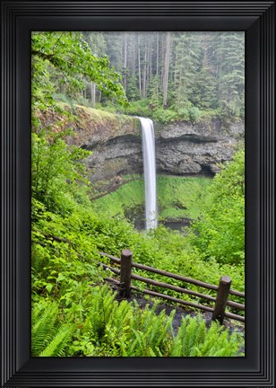 Framed Silver Falls State Park, Oregon South Falls And Trail Leading To It Print