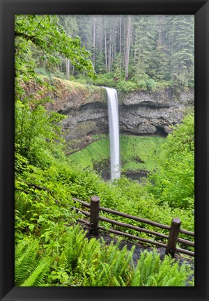 Framed Silver Falls State Park, Oregon South Falls And Trail Leading To It Print