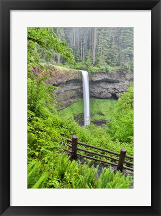 Framed Silver Falls State Park, Oregon South Falls And Trail Leading To It Print