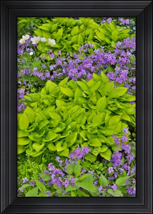 Framed Spring Colors, Chanticleer Garden, Pennsylvania 1 Print