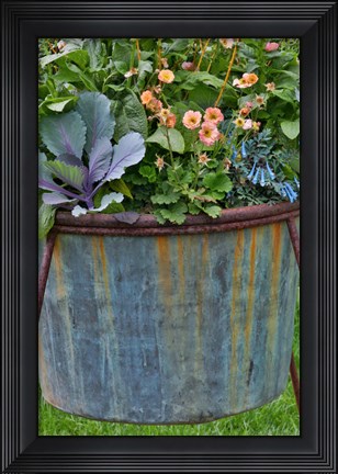 Framed Planter, Chanticleer Garden, Pennsylvania Print