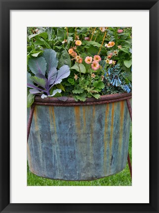 Framed Planter, Chanticleer Garden, Pennsylvania Print