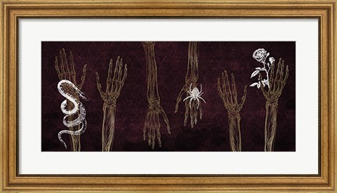 Framed Skeleton Hands Print