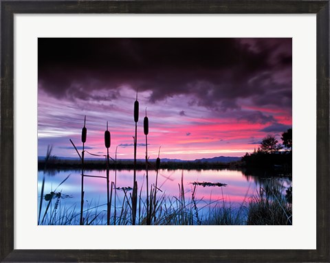 Framed Purple Skies Print