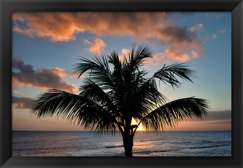 Framed Palm Tree Sunset II Print