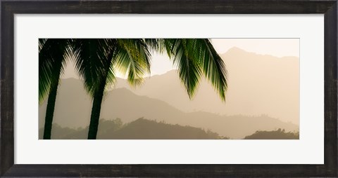 Framed Misty Palms IV Print