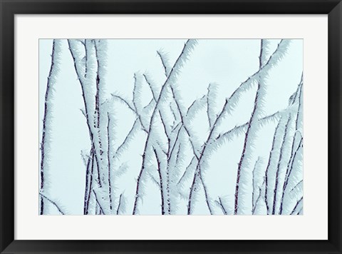 Framed Icy Print