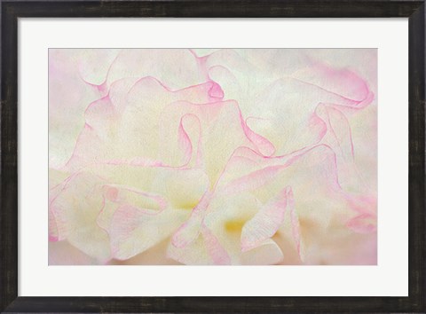 Framed Blush Print