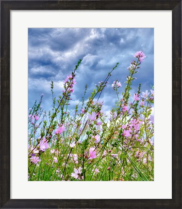 Framed Wild Flowers Print